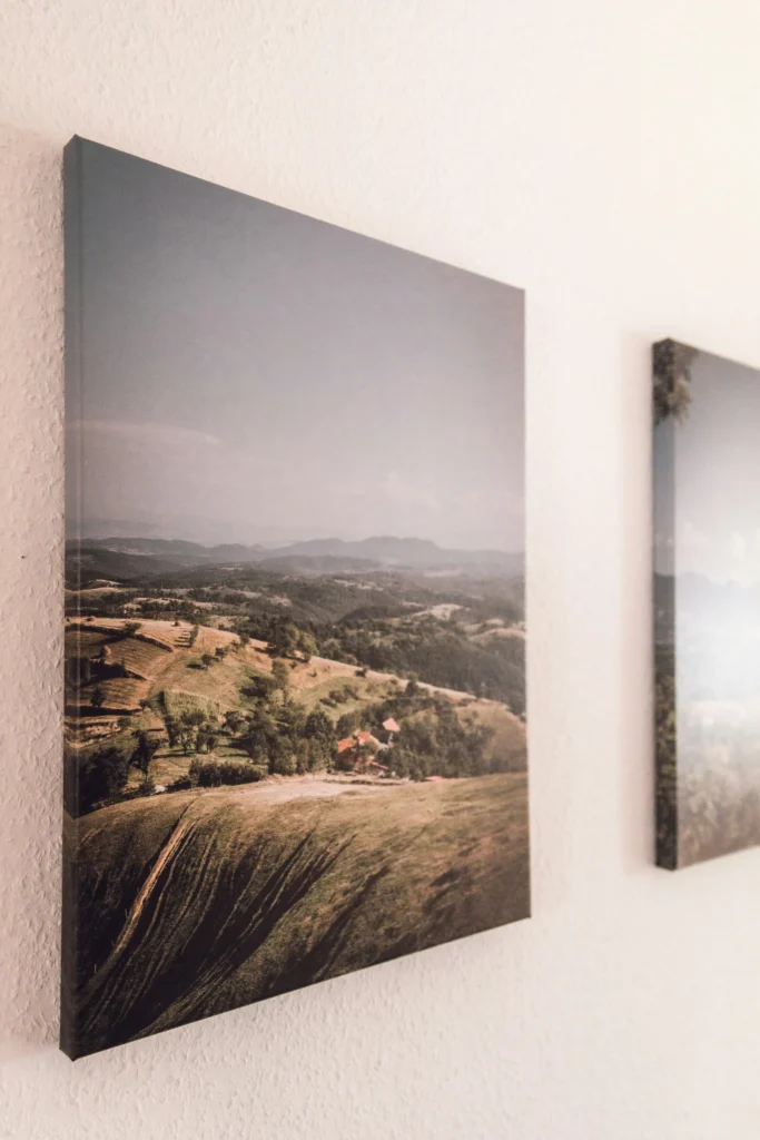 Landscape canvas print mounted on a modern wall showcasing professional canvas printing services.
